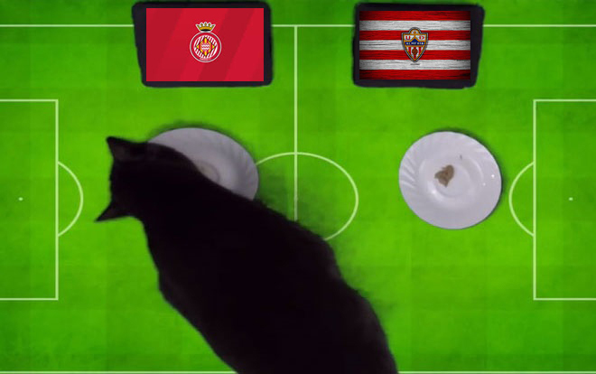Tiên tri mèo Cass dự đoán Girona vs Almería, 3h ngày 18/2 - Ảnh 1