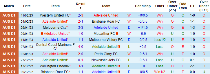 Nhận định, soi kèo Adelaide vs WS Wanderers, 11h ngày 19/2 - Ảnh 1