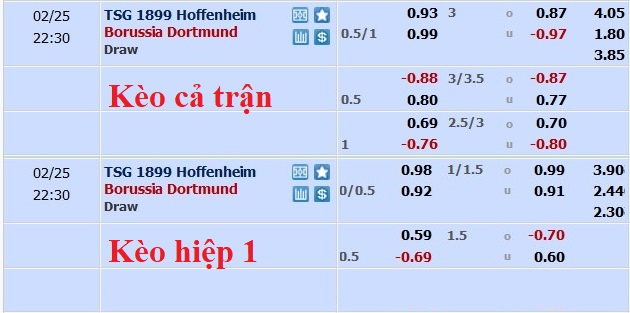 Nhận định, soi kèo Hoffenheim vs Dortmund, 21h30 ngày 25/2 - Ảnh 5
