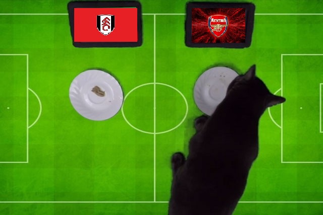 Tiên tri mèo Cass dự đoán Fulham vs Arsenal, 21h ngày 12/3 - Ảnh 1