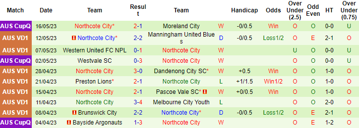 Nhận định, soi kèo Melbourne City Youth vs Northcote City, 16h00 ngày 19/5 - Ảnh 2