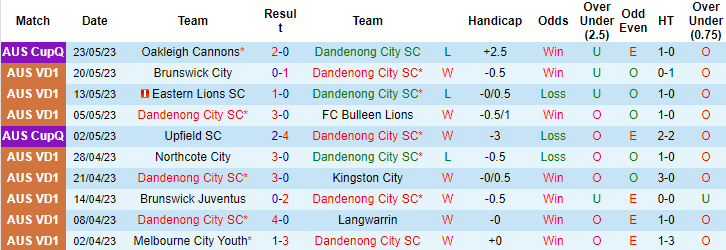 Nhận định, soi kèo Dandenong City vs Pascoe Vale SC, 16h45 ngày 26/5 - Ảnh 1