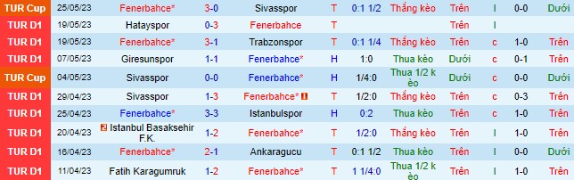 Nhận định, soi kèo Fenerbahce vs Antalyaspor, 00h00 ngày 31/5 - Ảnh 2