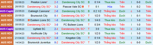 Nhận định, soi kèo Dandenong City SC vs Werribee City FC, 16h45 ngày 9/6 - Ảnh 2