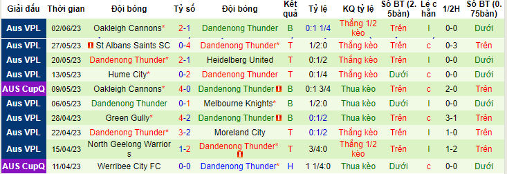 Nhận định, soi kèo South Melbourne vs Dandenong Thunder, 13h00 ngày 11/6 - Ảnh 2