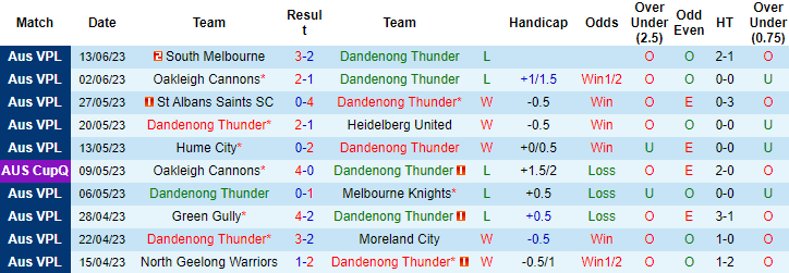 Nhận định, soi kèo Dandenong Thunder vs Bentleigh Greens, 12h00 ngày 17/6 - Ảnh 1