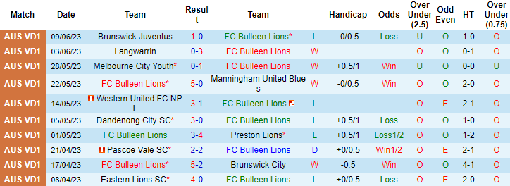 Nhận định, soi kèo FC Bulleen Lions vs Kingston City, 17h15 ngày 19/6 - Ảnh 1