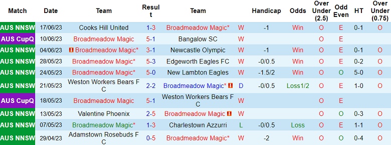 Nhận định, soi kèo Broadmeadow Magic vs Maitland FC, 16h30 ngày 21/6 - Ảnh 1