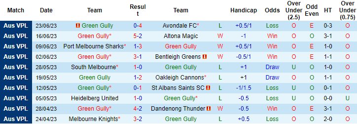 Nhận định, soi kèo Green Gully vs North Geelong Warriors, 17h ngày 30/6 - Ảnh 1