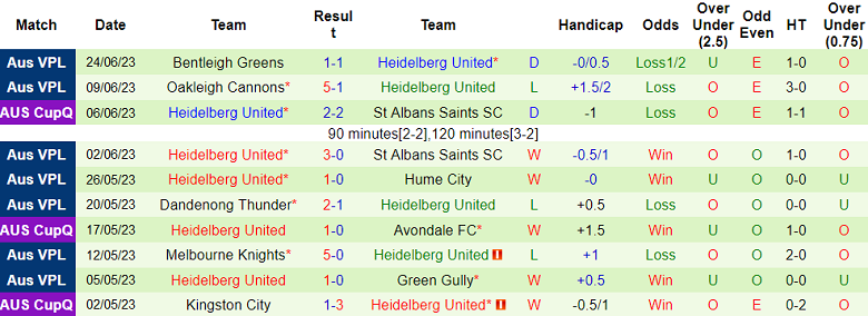 Nhận định, soi kèo Port Melbourne Sharks vs Heidelberg United, 14h30 ngày 1/7 - Ảnh 2