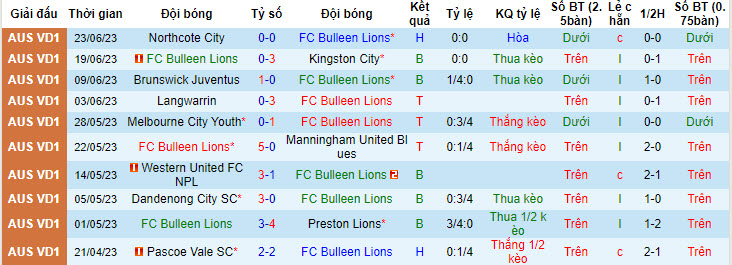 Nhận định, soi kèo FC Bulleen Lions vs Werribee City FC, 17h15 ngày 3/7 - Ảnh 1