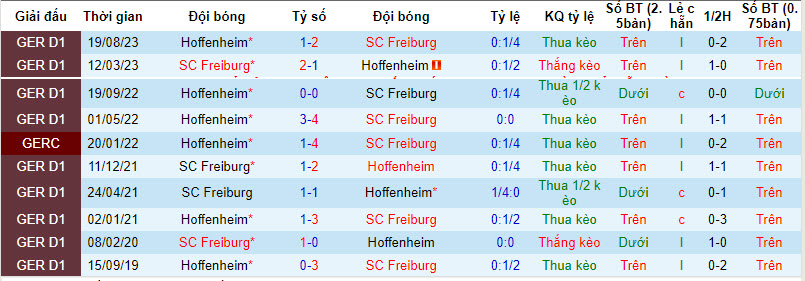 Nhận định, soi kèo Freiburg vs Hoffenheim, 21h30 ngày 20/01 - Ảnh 3