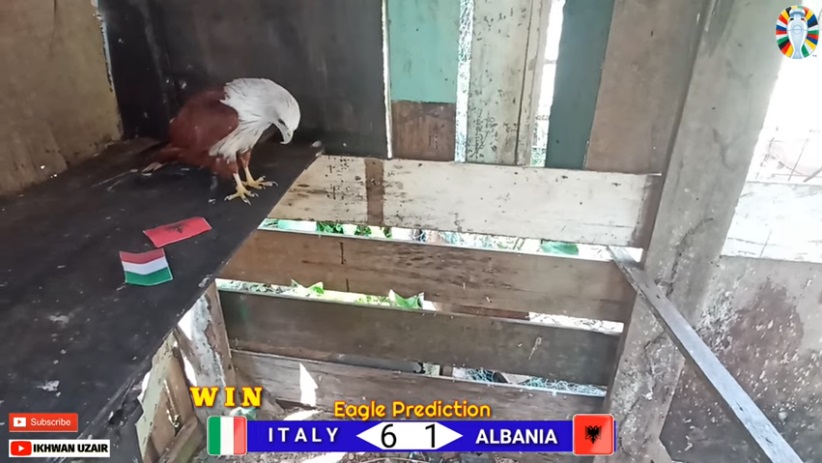 Đại bàng dự đoán Italia vs Albania, 2h00 ngày 16/6 - Ảnh 1