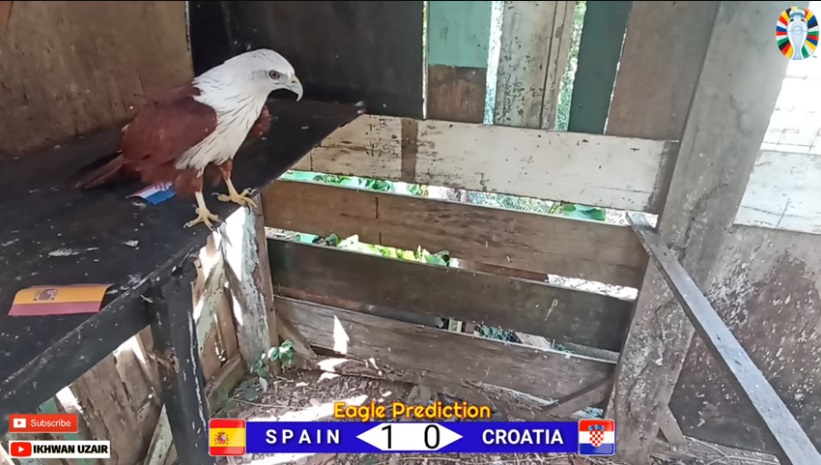 Đại bàng dự đoán Tây Ban Nha vs Croatia, 23h00 ngày 15/6 - Ảnh 1