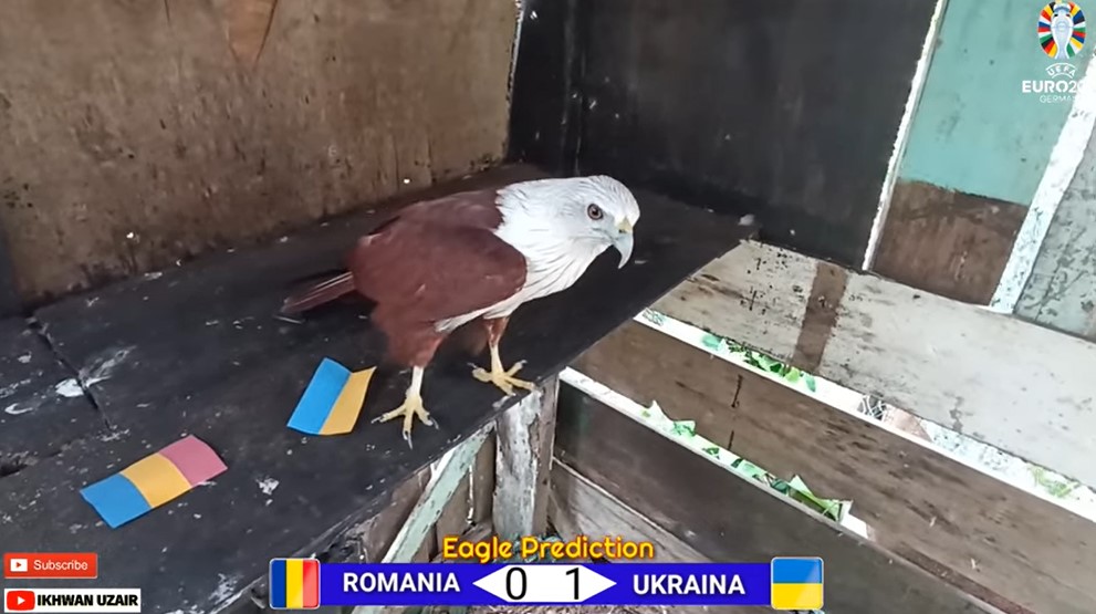 Đại bàng dự đoán Romania vs Ukraine, 20h00 ngày 17/6 - Ảnh 1