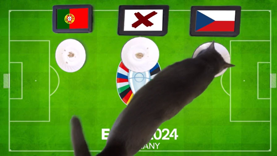 Siêu mèo dự đoán Bồ Đào Nha vs CH Séc, 02h00 ngày 19/6 - Ảnh 1