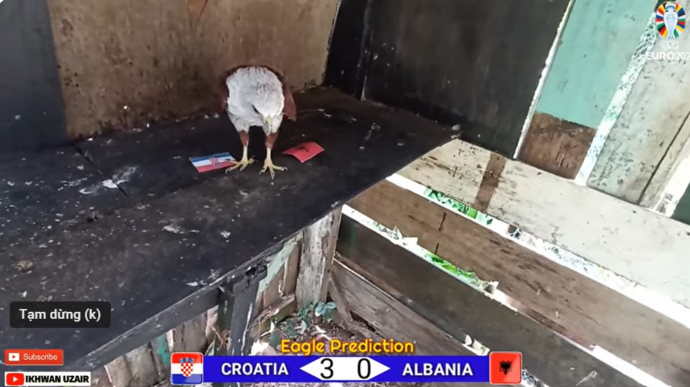 Đại bàng dự đoán Croatia vs Albania, 20h00 ngày 19/6 - Ảnh 1