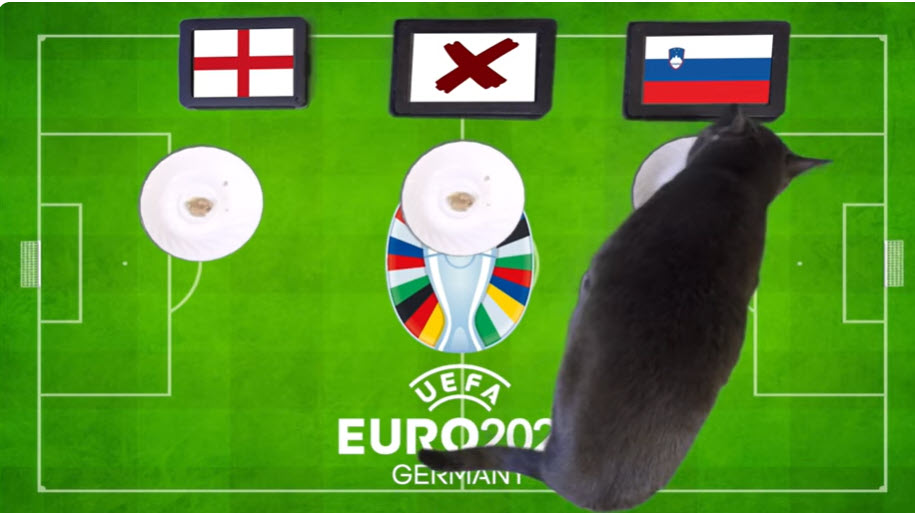 Mèo Cass dự đoán Anh vs Slovenia, 02h00 ngày 26/6 - Ảnh 1