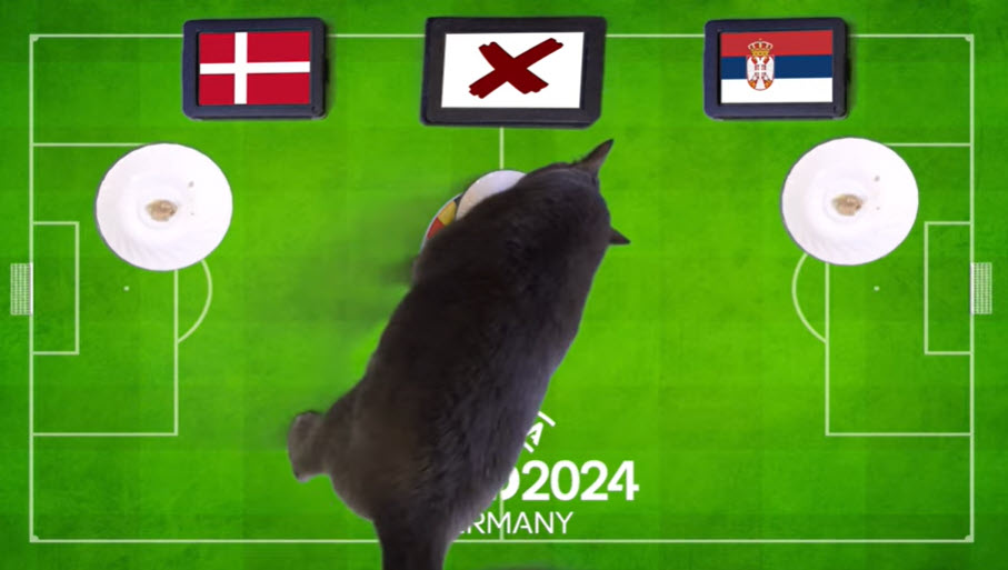 Mèo Cass dự đoán Đan Mạch vs Serbia, 02h00 ngày 26/6 - Ảnh 1