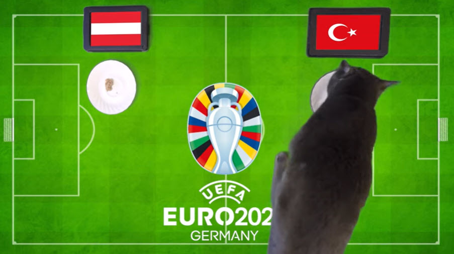 Mèo Cass dự đoán Áo vs Thổ Nhĩ Kỳ, 02h00 ngày 3/7 - Ảnh 1