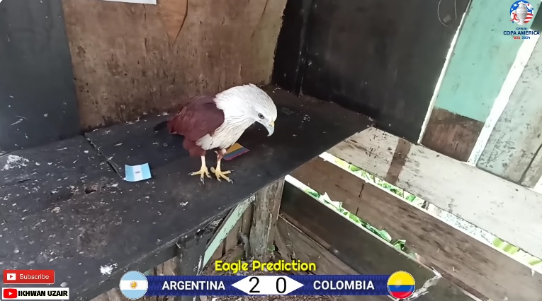 Tiên tri đại bàng dự đoán Argentina vs Colombia, 7h00 ngày 15/7 - Ảnh 1