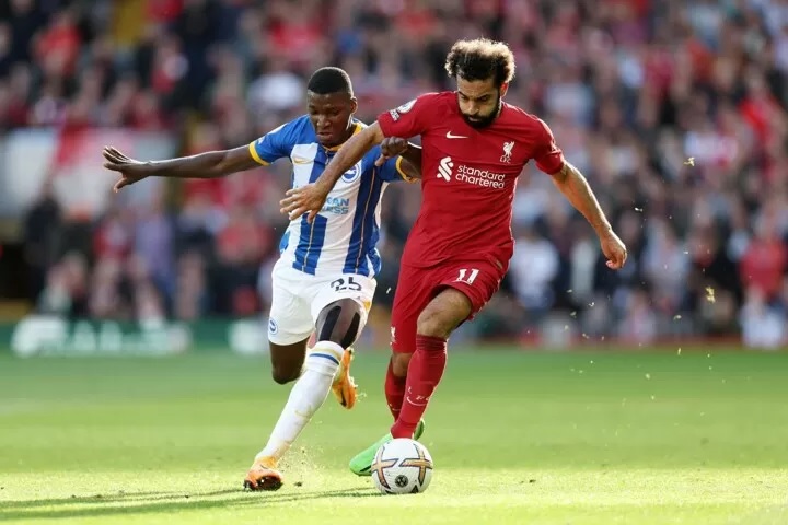 Link xem trực tiếp Brighton vs Liverpool cúp Liên đoàn 02h30 ngày 31/10 - Ảnh 1