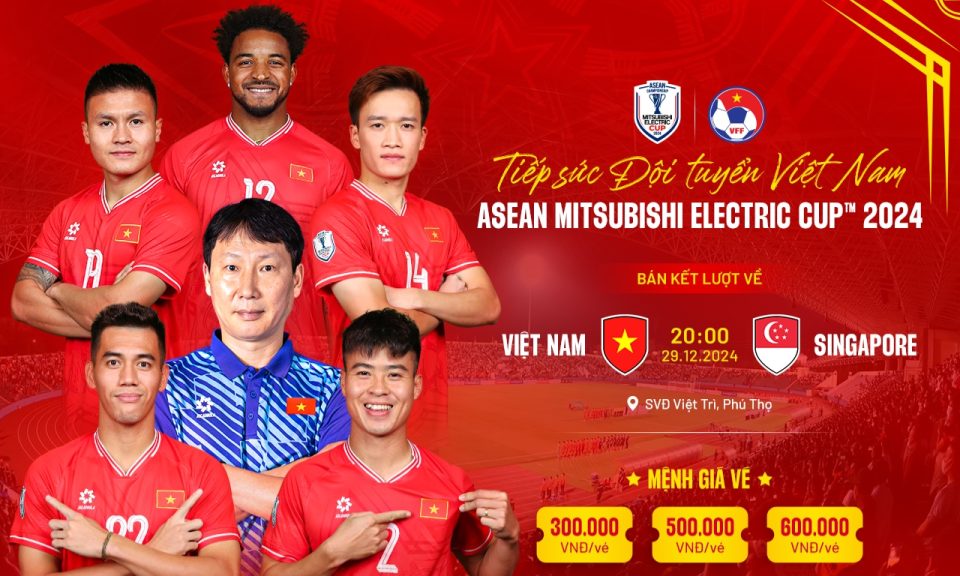 Cháy vé xem đội tuyển Việt Nam thi đấu ở bán kết AFF Cup - Ảnh 1