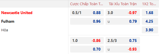 Nhận định, soi kèo Newcastle vs Fulham, 22h00 ngày 1/2: Hướng về Top 4 - Ảnh 1