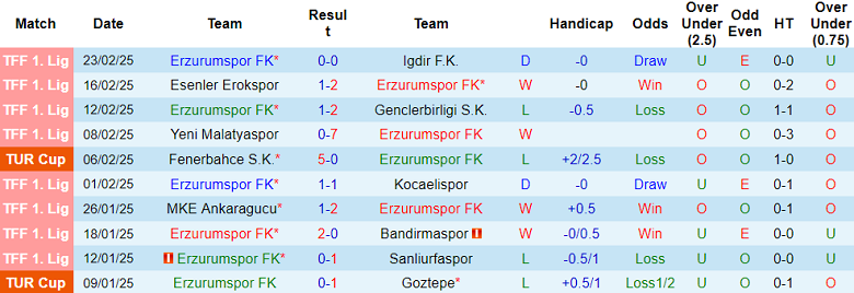 Nhận định, soi kèo Erzurumspor vs Istanbulspor, 20h00 ngày 27/2: Khó tin chủ nhà - Ảnh 1