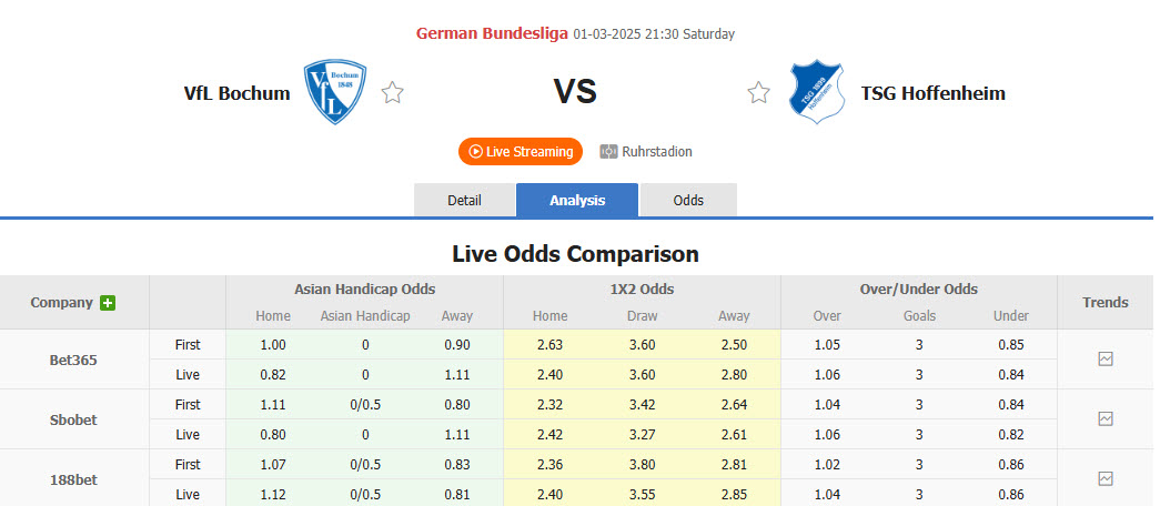 Nhận định, soi kèo Bochum vs Hoffenheim, 21h30 ngày 1/3: Tiếp tục nuôi hy vọng - Ảnh 1