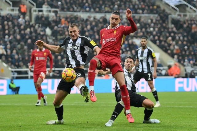 Chuyên gia Tony Ansell dự đoán Newcastle vs Liverpool, 23h30 ngày 16/3 - Ảnh 1