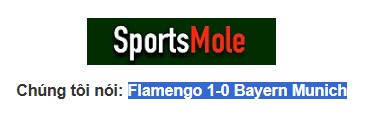 Nhận định, soi kèo Flamengo vs Bayern Munich, 3h00 ngày 30/6: Tiếng thét của Hùm - Ảnh 5