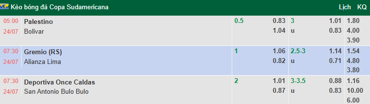 Nhận định, soi kèo Palestino vs Club Bolivar, 5h00 ngày 24/7: Thắng và hy vọng - Ảnh 1