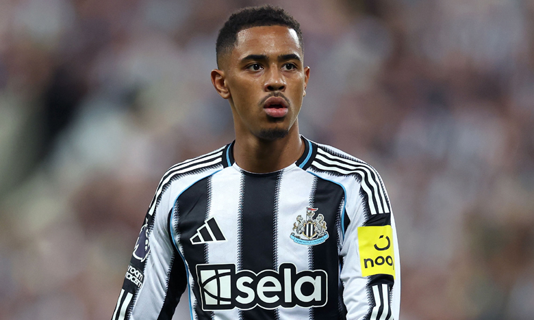 Kèo vàng bóng đá Newcastle vs Wolves, 21h00 ngày 13/9: Khó cho The Magpies - Ảnh 1