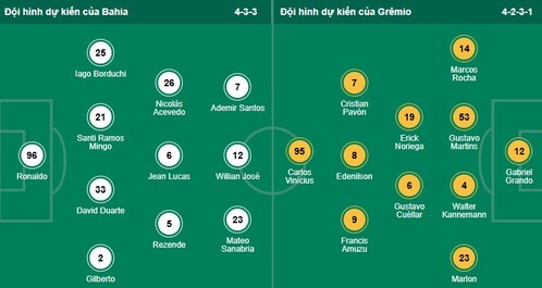 Nhận định, soi kèo Bahia vs Gremio - Ảnh 1