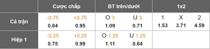 Nhận định, soi kèo NK Bravo vs NK Radomlje, 23h30 ngày 24/11: Khác biệt đẳng cấp - Ảnh 1