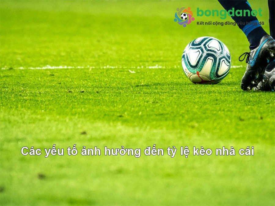 soi k&egrave;o nh&agrave; c&aacute;i bongdanet