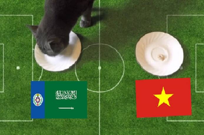 Tiên tri mèo Cass dự đoán Saudi Arabia vs Việt Nam, 1h ngày 3/9