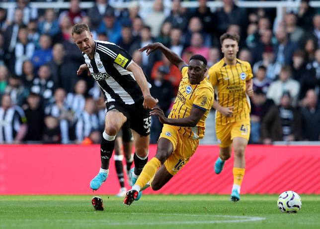 Nhận định, soi kèo Newcastle vs Brighton, 20h45 ngày 2/3: Rượt đuổi hấp dẫn