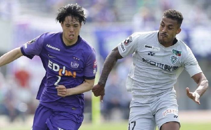 Nhận định, soi kèo Sanfrecce Hiroshima vs Avispa Fukuoka, 11h00 ngày 3/5: Tìm lại niềm vui Nhận định, soi kèo Sanfrecce Hiroshima vs Avispa Fukuoka, 11h00 ngày 3/5: Tìm lại niềm vui