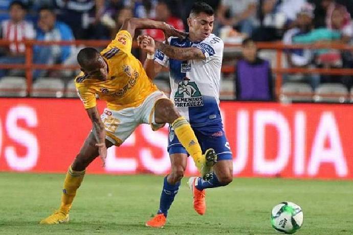 Nhận định, soi kèo Pachuca vs Tigres UANL, 7h00 ngày 8/4