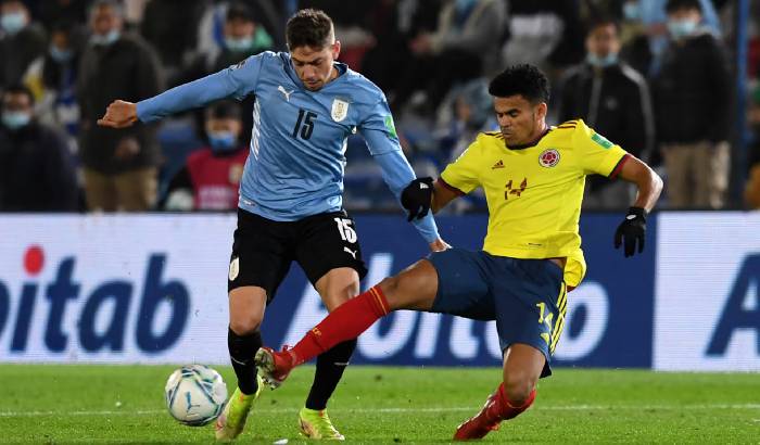 Đại bàng tiên tri Uruguay vs Colombia, 7h00 ngày 11/7