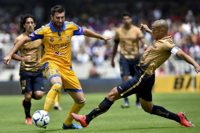 Nhận định, soi kèo Tigres UANL vs UNAM Pumas, 8h05 ngày 12/2