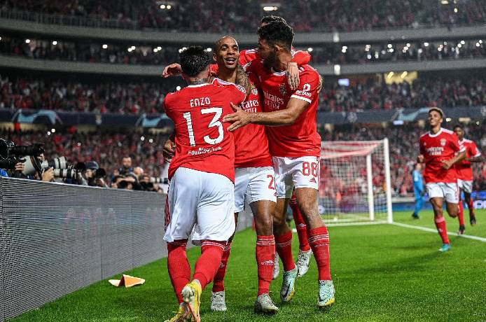 Tiên tri mèo Cass dự đoán Club Brugge vs Benfica, 3h ngày 16/2