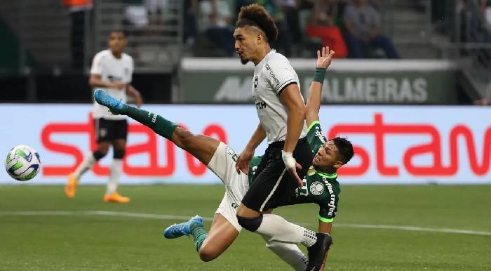 Nhận định, soi kèo Botafogo vs Palmeiras, 7h30 ngày 15/8: Tận dụng lợi thế