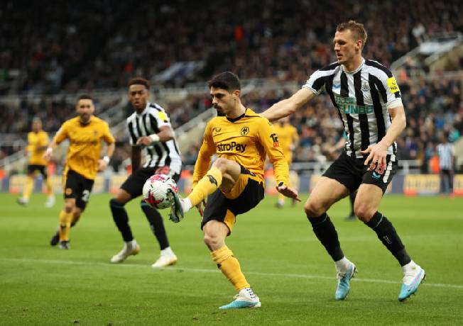 Chuyên gia Tony Ansell dự đoán Wolves vs Newcastle, 22h30 ngày 15/9