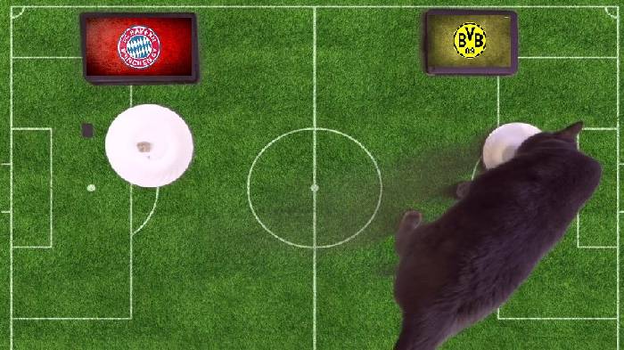 Mèo tiên tri dự đoán Dortmund vs Bayern Munich, 1h30 ngày 18/8