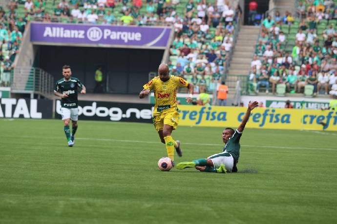 Kèo xiên thơm nhất hôm nay 22/8: Palmeiras vs Cuiaba