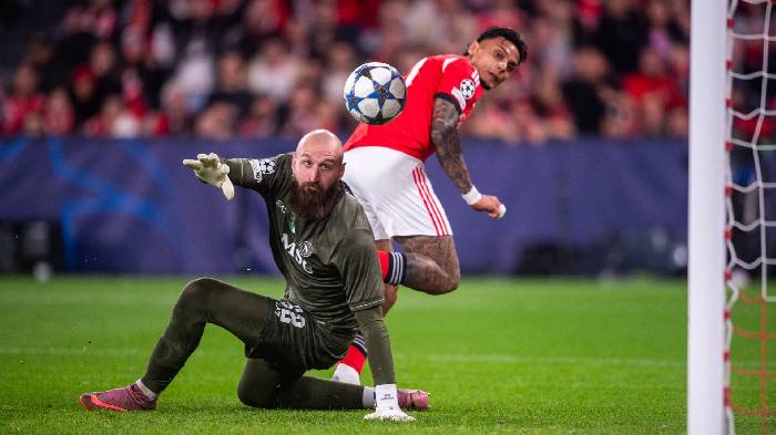 Nhận định, soi kèo Tondela vs Casa Pia, 1h00 ngày 22/12: Chung kết ngược