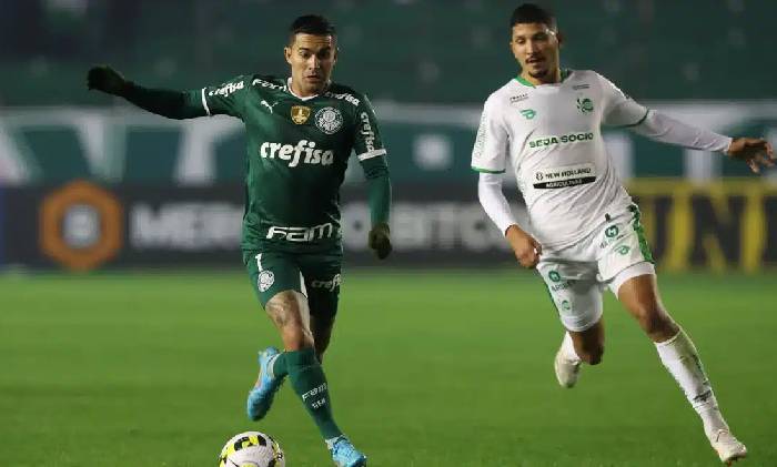 Nhận định, soi kèo Palmeiras vs Esporte Clube Juventude, 04h30 ngày 24/6: Đánh chiếm ngôi đầu bảng